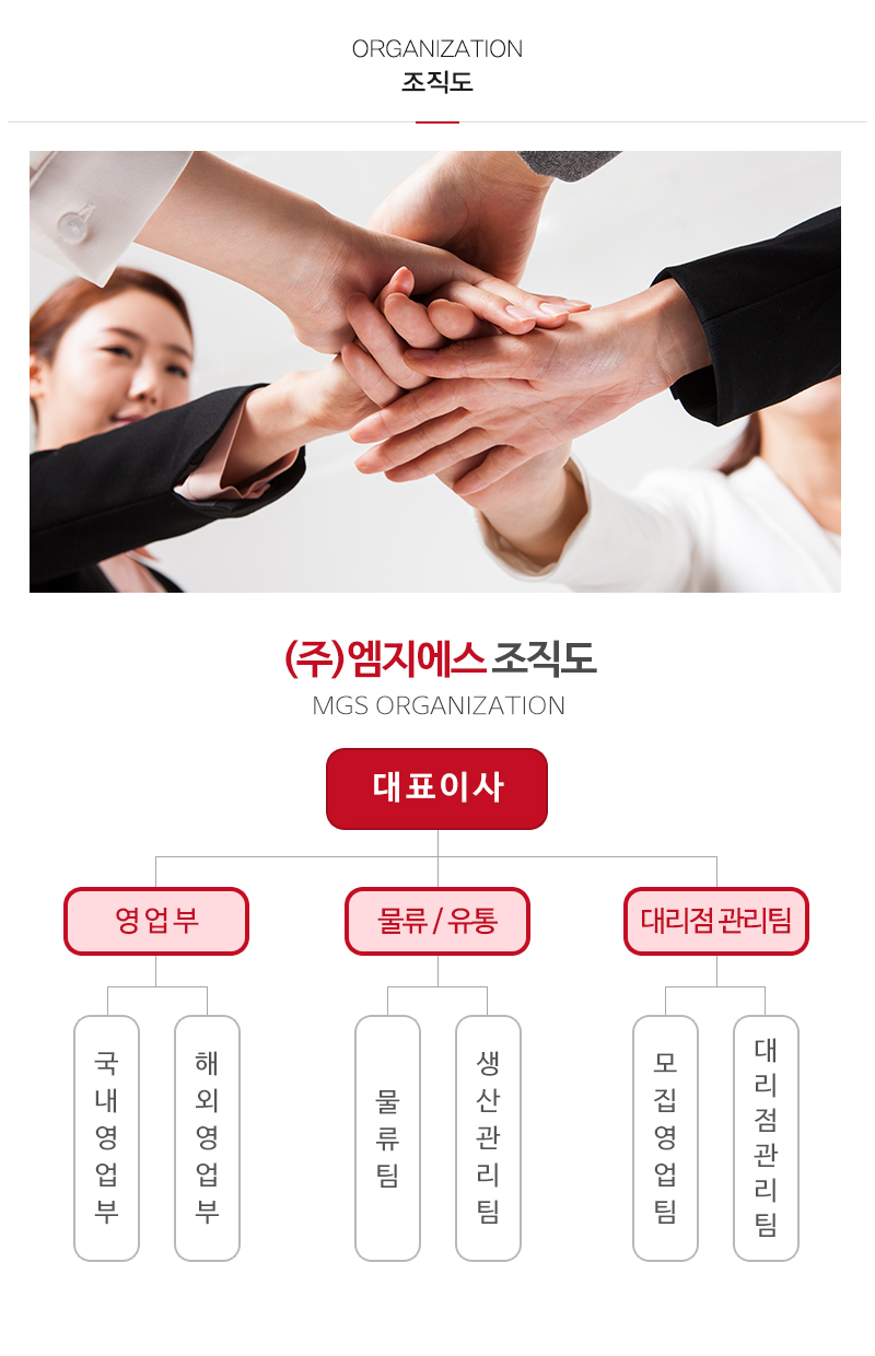 (주)엠지에스_내용